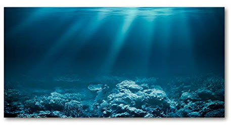 Tulup Impression sur Verre de 120x60 cm Image Tableau Photo décorative panoramique pour la Cuisine et Le Salon - Paysage - Monde sous-Marin - Bleu