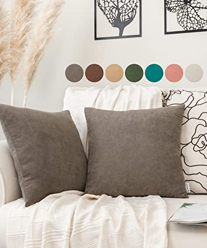 pamuq Kissenbezug - ohne Füllung - 40x40 Samt, grau, 2er Set - 2 Kissenbezüge mit Reissverschluss für Dekokissen, Zierkissen, Sofakissen, Couchkissen - Deko Kissen Bezug Kissenhülle