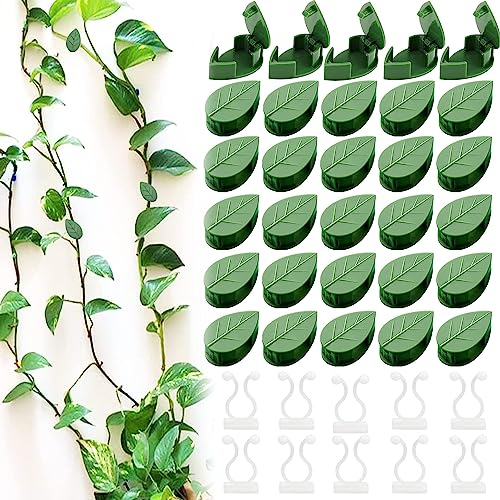 40 Stück Pflanzenclips Kletterpflanzen Clips, Unsichtbare Pflanzen-Clips Pflanzenclips Wand kletterpflanzen Befestigung Wand Selbstklebende Pflanzenstützclip für Gartenarbeit Pflanzenstützung