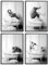 JINZUNRUI JZR Badezimmer Deko Bilder, Schwarz-weiß Bad Poster A4 Wandbilder, Lustige Tier in der Badewanne, WC Toilette Wand Deko, Leinwand Badezimmer Bilder- Ohne Rahmen