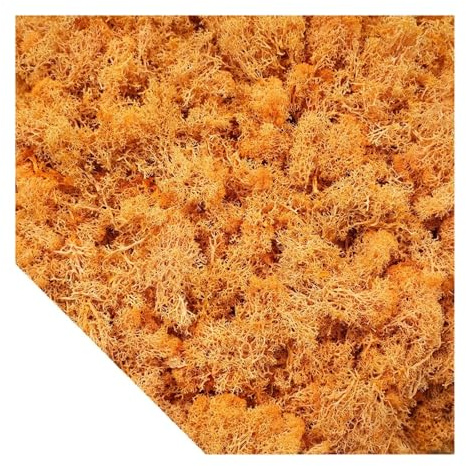 CSSHNL Kunstrasen Künstliche grüne Pflanzen, Moos, Gras, Mini-Landschaft, DIY, Kunsthandwerk, Leben, künstliches Gras for Garten, Zuhause, Hotel, Dekoration, 500/1000/100 g(Orange,100g)