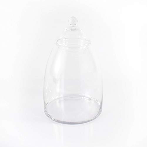 innaGLAS Grande Bonbonnière - Bocal en verre avec son couvercle, MIRA, transparent, 38,5cm, Ø 13cm - Bonbonnière en verre