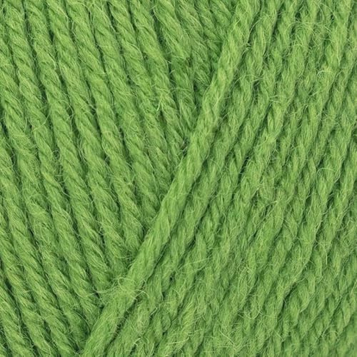 West Yorkshire Knitting Wool - Spinners Colour Lab DK Double British Crochet Yarn - 1134 Shamrock Green