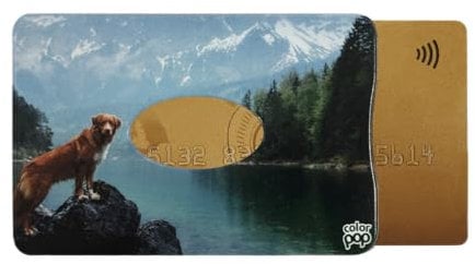 Color Pop Porte-Carte Rigide (1) Anti-RFID – Fabrication Française – PVC – Anti-RFID - Protection Cartes bancaires - 6 x 9,1 cm (Doug)