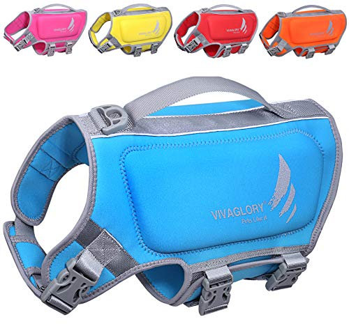 VIVAGLORY High Buoyancy Schwimmweste Hund, Rettungsweste, Hundeschwimmweste für Bootfahren, Schwimmhilfe & Auftrieb, S, Blau