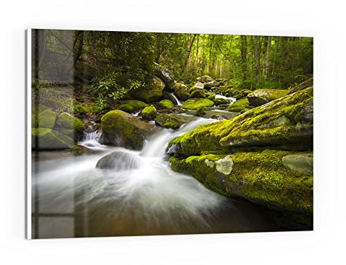 DEQORI Küchenrückwand Glas | Motiv Sattgrüne Waldkulisse | 60x40 cm | Bad- oder Herd-Rückwand | Herdblende Spritzschutz für Küche & Badezimmer | moderne Deko für Fliesenspiegel