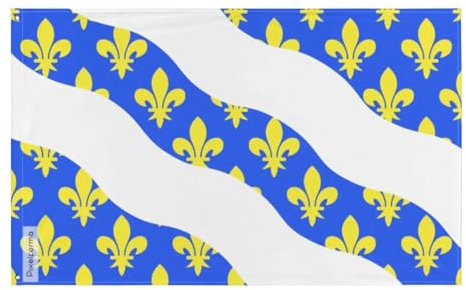 Drapeau Yvelines Plusieurs Tailles en Polyester 192x288cm 2. 2 œillets à gauche