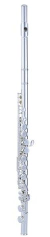 Querflöte Flötenblasinstrument Weiße Kupferklappe E-Klappe Geteilte C-Klappe Versilbert 16 Geschlossene Löcher Für Anfänger Für Spielen
