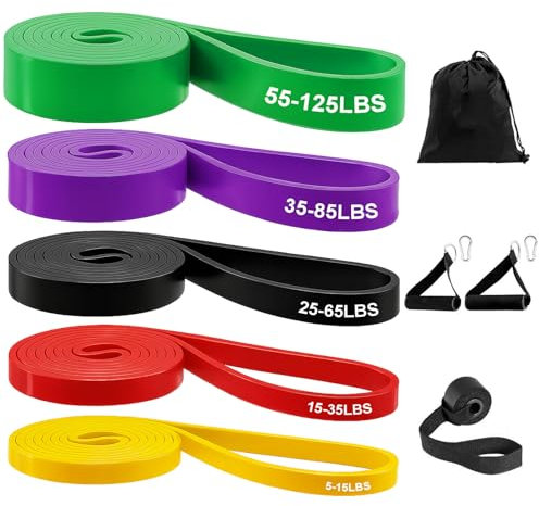 Zyluniy Elastici Fitness di 5 Livelli di Resistenza, Elastici Palestra per Allenamento Stretching Powerlifting Resistenza, Fitness con Ancoraggio Porta, Maniglie e Cover Protettiva