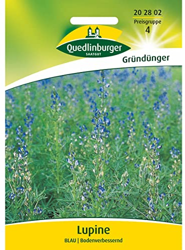 Quedlinburger
