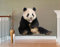 Apalis Wandtattoo No.501 Lachender Panda 100x87cm Wandsticker Kinderzimmer China Tiere, Größe:87cm x 100cm