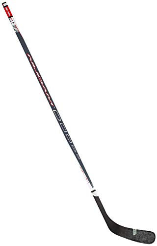 Eishockeyschläger Holz/Glasfiber Senior AZR