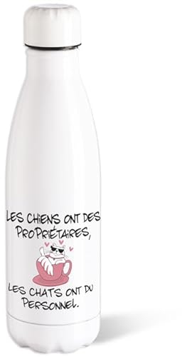 Bouteille d’eau Isotherme Chat Humour 500ml Acier Gourde Réutilisable Ecologique Maintien Chaud/Froid 12h. Idée Cadeau Original Amie Homme Femme Sport Voyage Bureau Anniversaire Noël
