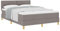 vidaXL Boxspringbett mit Matratze Taupe Bezogen 160X200 cm Modernes Design Stoff Für Erwachsene Holzbeine Einfache Montage Und Komfort Topper Rahmen Schlaf-Zimmermöbel Schoner Gepolstert