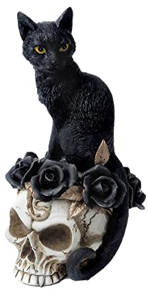 Alchemy Black Cat Skull