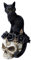 Alchemy Gothic Black Cat Skull