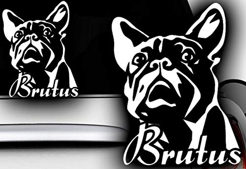HDmirrorR HR-WERBEDESIGN 1x Wunschnamen 13x10cm Name Aufkleber Französische Bulldogge Bulldog Bully Auto