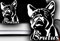 HDmirrorR HR-WERBEDESIGN 1x Wunschnamen 13x10cm Name Aufkleber Französische Bulldogge Bulldog Bully Auto