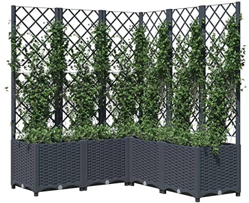Keketa Garden Planter with Trellis Outdoor Entrance Balcony Patio Terrace Raised Bed Flower Box Climbing SuPolypropyleneort Plant Pot Dark Grey 120x120x136 cm Polypropylene