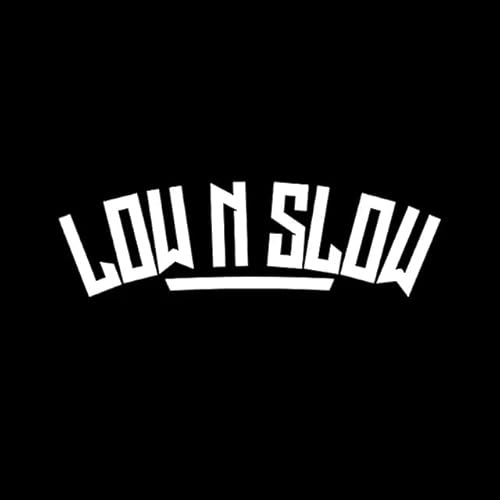 16CMx4.9CM Funny Low N Slow Auto Aufkleber Vinyl Und Fenster Wasserdicht Abziehbilder Für Balck Splitter Motorrad Fahrrad Dreirad Kühlschrank Spielzimmer Küche Dekoration Aufkleber