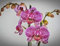HANSEPUZZLE 27316 - Orchidee Puzzle 1000 Teile | Natur Puzzle mit hochwertiger Puzzle Aufbewahrung: Kartonbox und Wieder verschließbarem Beutel | Puzzle-Maße: 60 x 46 cm