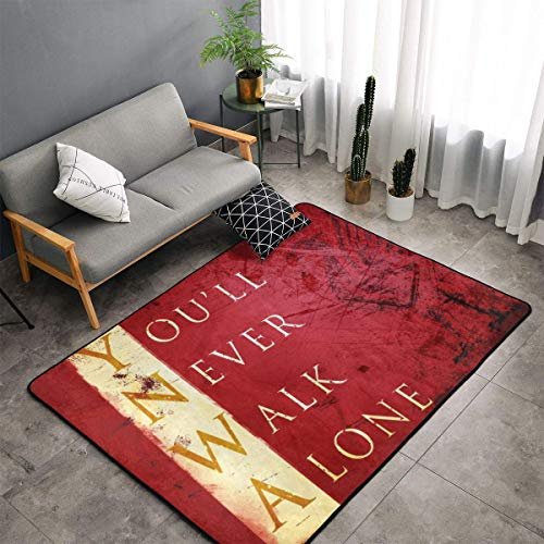 Teppich für Esszimmer, Wohnzimmer, Schlafzimmer, rutschfest, weich, maschinenwaschbar, 152 x 91 cm (Premier Fußball)