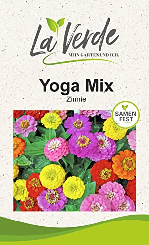 Zinnia Yoga Mix Blumensamen