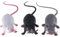 SMELEYOU Faux Rat Rat réaliste Rat Rat Rat Plastique Rats réalistes Fausse Souris Halloween Tricks farps accesstes Jouet 3pcs Halloween décorations