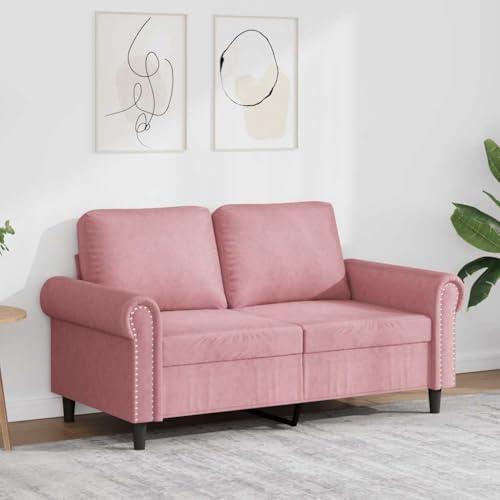 Keeushr 2-Sitzer-Sofa Rosa 120 cm Samt für das Wohnzimmer Couch mit robustem Metallgestell und bequemer Polsterung