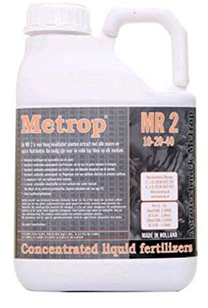 MR2 Bloom 5 litres - METROP