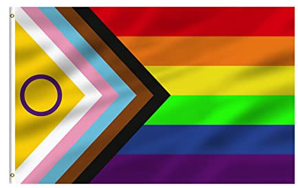 GELASGO Gay-Pride-Flaggen, 90 x 152 cm, Progress Pride-Flagge, Regenbogenfarben, 90 x 152 cm, nicht binäre Lesben, Schwulen, Transgender-Prides-Flaggen