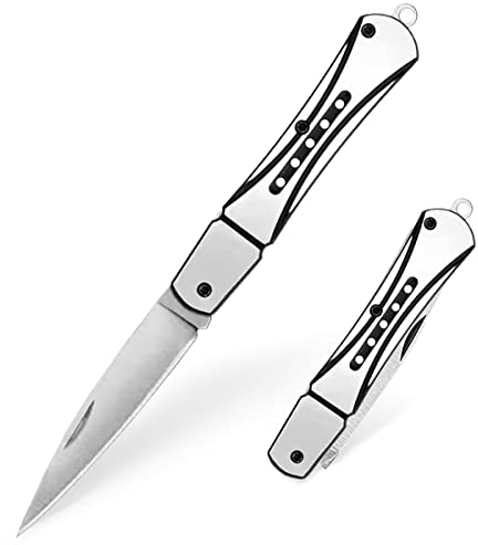 Klappmesser Taschenmesser, Klein Messer mit Schlüsselring ist, Mini Scharf Klappmesser, EDC Messer für Outdoor Camping