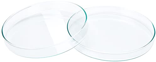 KING SCIENTIFIC 7H-2HV7-WX16 200MM GLASS PETRI DISH