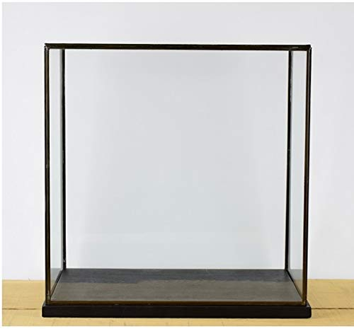 EMH Vitrine aus Glas und schwarzem Metallrahmen, handgefertigt, mit schwarzem Holzsockel, 42 cm