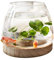 Clear Glass Fish Bowl with Wooden Base, Small Desktop Fish Bowl Aquarium for Betta Fish gold-fish, Fish Tank Flower Vase Hydroponic Plant Terrarium Home Decoration, Hydroponic Plant Vase Art Deco