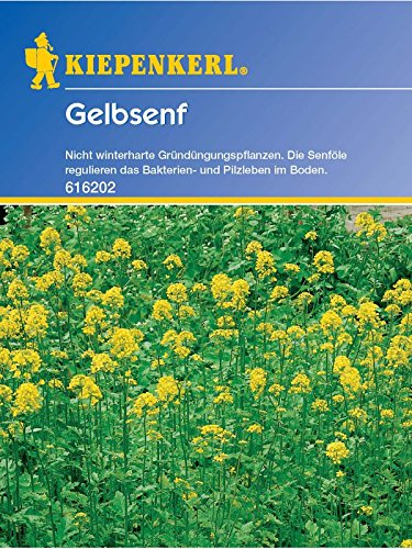 Gelbsenf Gründünger Portion