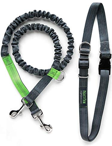 Mighty Paw Hands Free Dog Leash | Bungee Waist Leash for Dog Walking. Pet Running Hands Free Tether for Large, Medium & Small Breeds. Pet Waist Belt (36 - 48) Up to 150 lbs - Gray