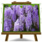 EURO PLANTS VIVAI Wisteria Floribunda Macrobotrys Glicine Viola Chiaro - Piante Rampicanti su Vaso da 17 cm - Altezza 150-200 cm