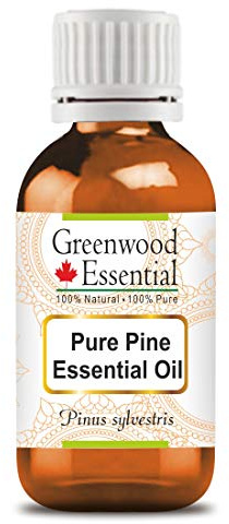 Greenwood Essential Naturreine Ätherisches Kiefernöl (Pinus sylvestris) Dampfdestilliert 5ml (0.16 oz)