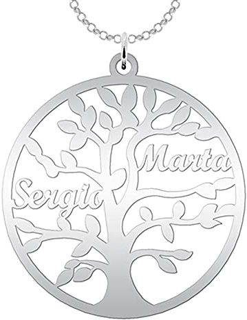 Mi joya personalizada Collar Árbol de la Vida para Mujer Plata de Ley - Colgante Regalo Original para Madres y Abuelas donde incluir Nombres de su Familia, hasta 9 Nombres (2 Nombres)