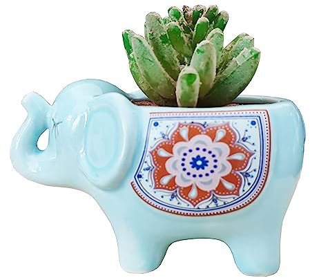 wan chang you Succulent Pot, Cute 5.11 Inch Elephant Shaped Ceramic Succulent Cactus Flower Plant Pot Planter for Home Garden Office Decoration (Plant Not Included) (Light Blue)
