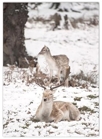 Bilder Elch Leinwand Mit Kiefer Holzrahmen Moderne Wandbilder Wohnzimmer,Kunstdruck Wandbilder Deko Gemälde Für Wohnzimmer Schlafzimmer,Bilder Wohnzimmer,Leinwandbild 40X50Cm