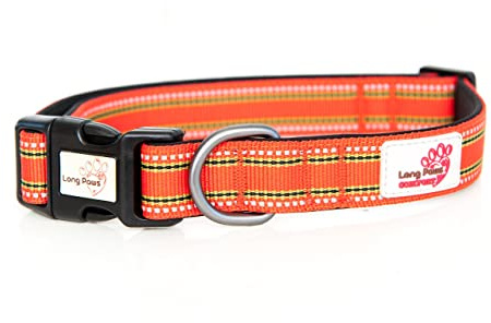Long Paws Comfort Collar, Reflective, Padded Dog Collar, Large, Orange