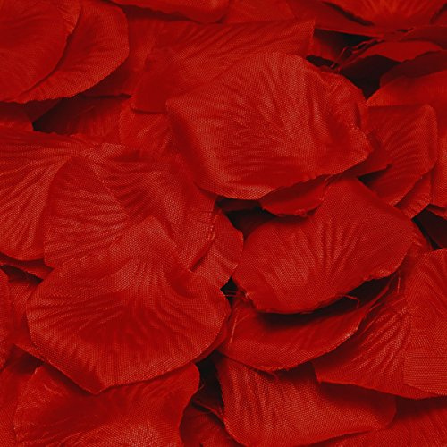 Deluxe Rose Petal Confetti - Burgandy