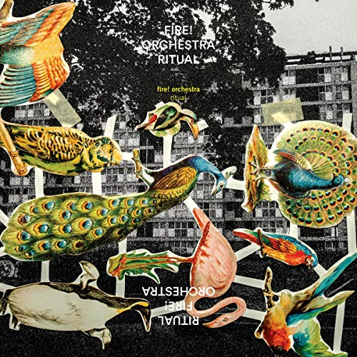Rune Grammofon 7033662021826