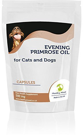 Olio di Primula Notturna 500mg per gatti e Cani Animali Domestici 30 capsule ALIMENTO SANO NUTRIZIONE INTEGRATORI SANO umore
