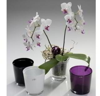 Orchideentopf aubergine ø12,5 / 6 Stück