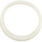 Pentair 472255 Face Plate Cover Replacement MiniMax Pool and Spa Heater
