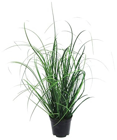 Gasper Kunstpflanze Grasbusch im Kunststofftopf, Farbe: Grün, in der Höhe: 40 cm, 104092-00