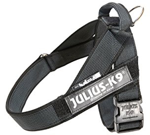 JULIUS K-9, Color & Gray, Beltgeschirr, L / 1